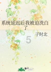 凤凰路沿线住地楼面成交价每平方米破万元