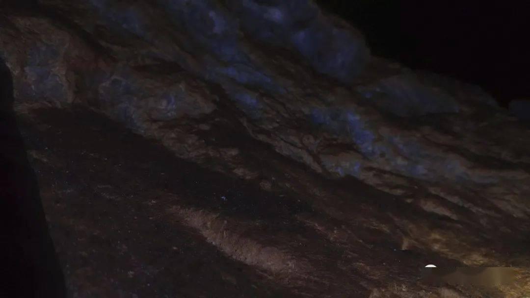新春走基层 | 快递小哥奋战“年货节”,这将是他第三个不休息的春节